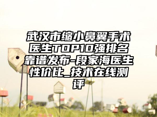 武汉市缩小鼻翼手术医生TOP10强排名靠谱发布-段家海医生性价比_技术在线测评