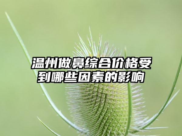 温州做鼻综合价格受到哪些因素的影响