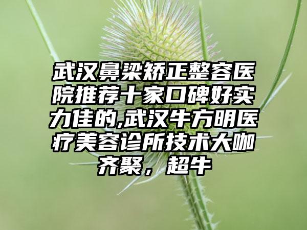 武汉鼻梁矫正整容医院推荐十家口碑好实力佳的,武汉牛方明医疗美容诊所技术大咖齐聚，超牛