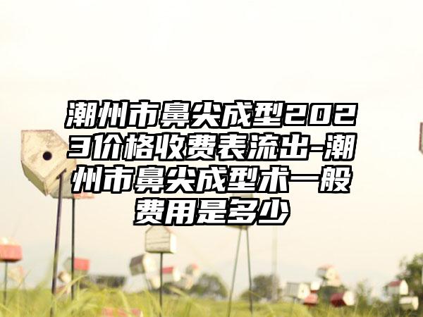 潮州市鼻尖成型2023价格收费表流出-潮州市鼻尖成型术一般费用是多少