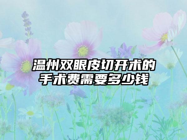 温州双眼皮切开术的手术费需要多少钱