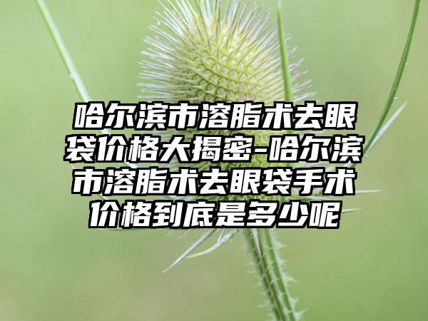 哈尔滨市溶脂术去眼袋价格大揭密-哈尔滨市溶脂术去眼袋手术价格到底是多少呢