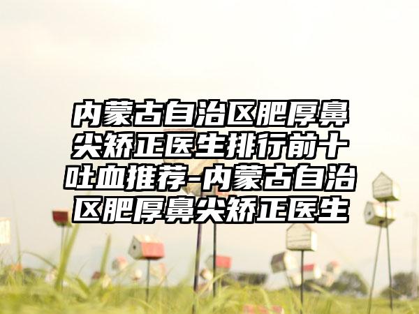 内蒙古自治区肥厚鼻尖矫正医生排行前十吐血推荐-内蒙古自治区肥厚鼻尖矫正医生