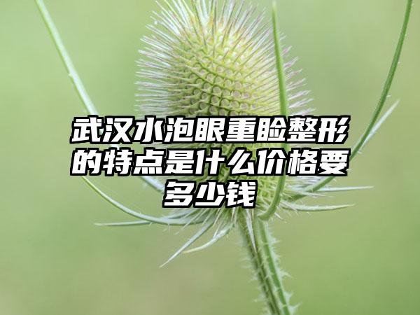 武汉水泡眼重睑整形的特点是什么价格要多少钱