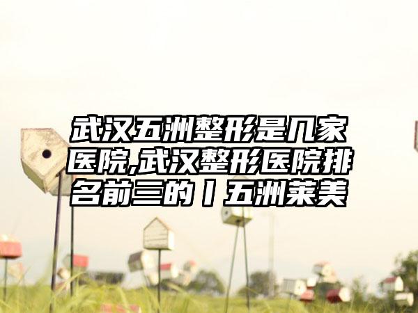 武汉五洲整形是几家医院,武汉整形医院排名前三的丨五洲莱美