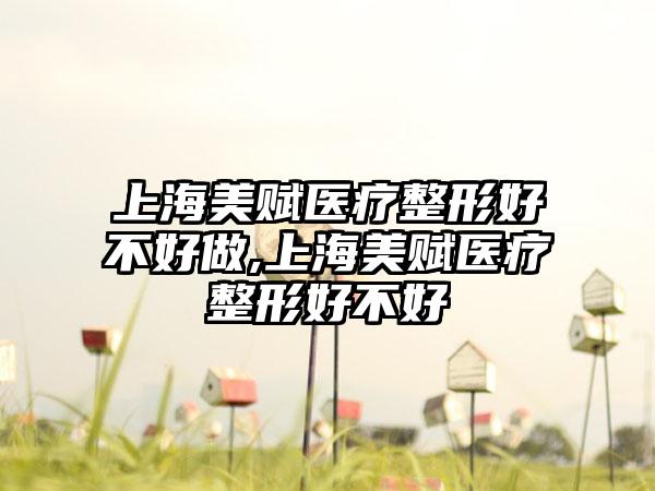 上海美赋医疗整形好不好做,上海美赋医疗整形好不好