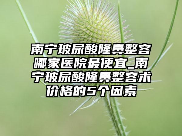 南宁玻尿酸隆鼻整容哪家医院非常便宜_南宁玻尿酸隆鼻整容术价格的5个因素