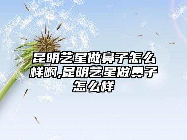 昆明艺星做鼻子怎么样啊,昆明艺星做鼻子怎么样