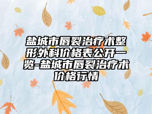 盐城市唇裂治疗术整形外科价格表公开一览-盐城市唇裂治疗术价格行情