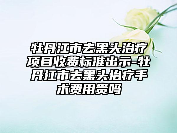 牡丹江市去黑头治疗项目收费标准出示-牡丹江市去黑头治疗手术费用贵吗