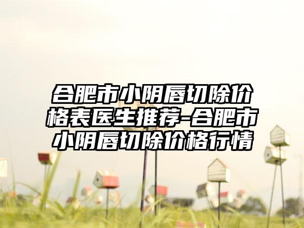 合肥市小阴唇切除价格表医生推荐-合肥市小阴唇切除价格行情