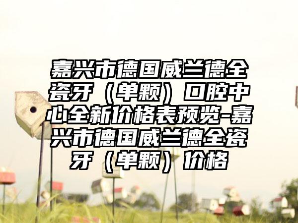 嘉兴市德国威兰德全瓷牙（单颗）口腔中心全新价格表预览-嘉兴市德国威兰德全瓷牙（单颗）价格