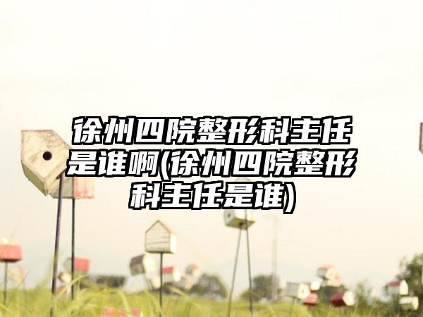 徐州四院整形科主任是谁啊(徐州四院整形科主任是谁)