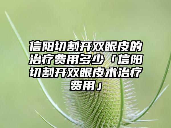 信阳切割开双眼皮的治疗费用多少「信阳切割开双眼皮术治疗费用」