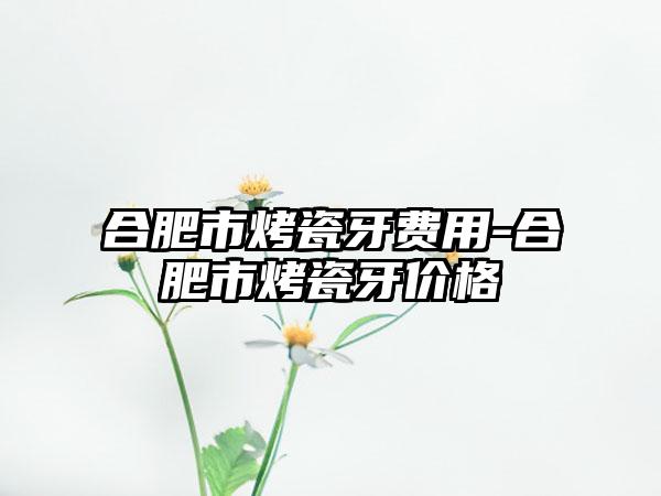 合肥市烤瓷牙费用-合肥市烤瓷牙价格