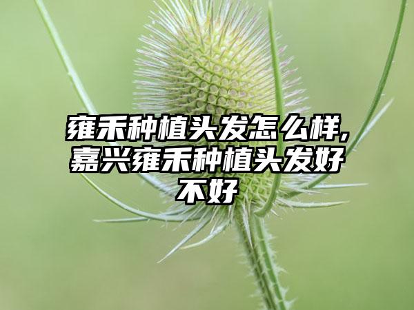 雍禾种植头发怎么样,嘉兴雍禾种植头发好不好