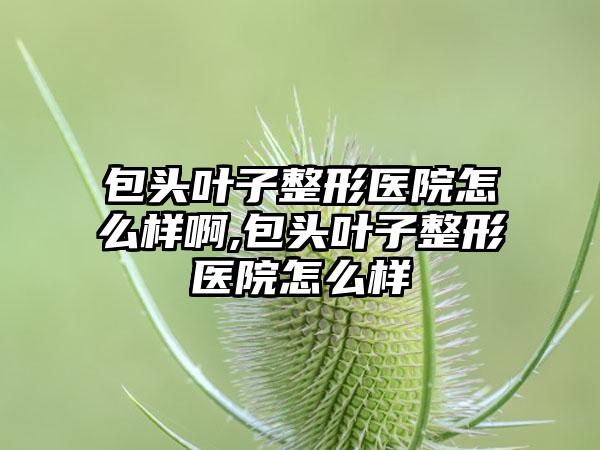 包头叶子整形医院怎么样啊,包头叶子整形医院怎么样