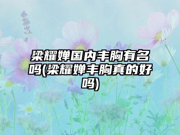 梁耀婵国内丰胸有名吗(梁耀婵丰胸真的好吗)