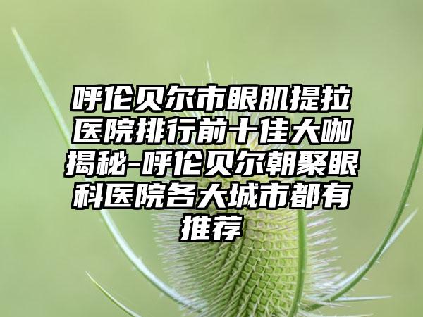 呼伦贝尔市眼肌提拉医院排行前十佳大咖揭秘-呼伦贝尔朝聚眼科医院各大城市都有推荐