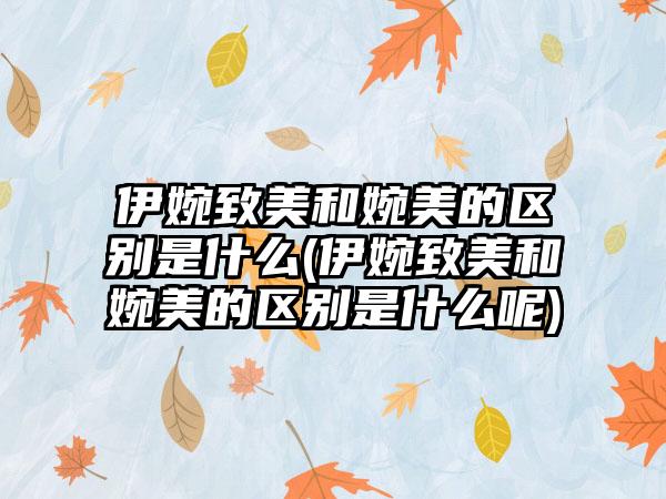 伊婉致美和婉美的区别是什么(伊婉致美和婉美的区别是什么呢)