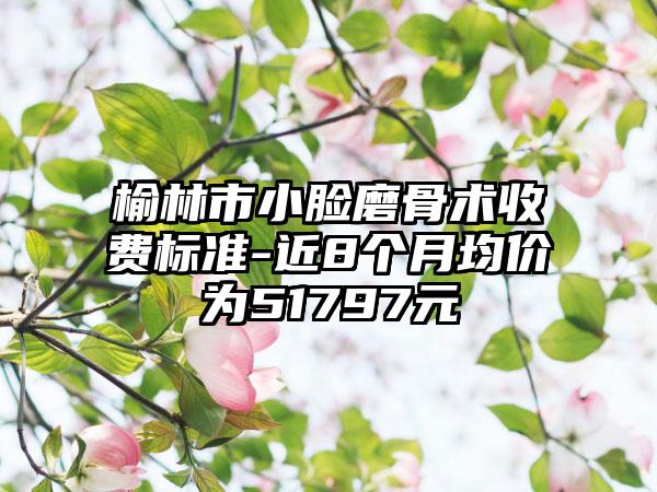 榆林市小脸磨骨术收费标准-近8个月均价为51797元