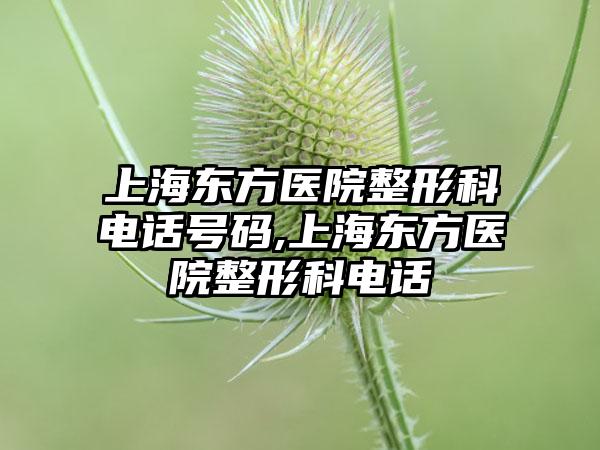 上海东方医院整形科电话号码,上海东方医院整形科电话