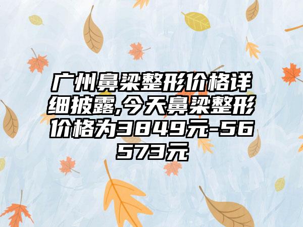 广州鼻梁整形价格详细披露,今天鼻梁整形价格为3849元-56573元