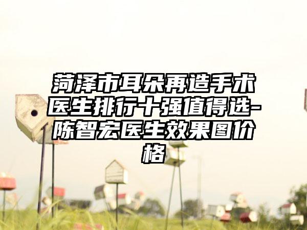 菏泽市耳朵再造手术医生排行十强值得选-陈智宏医生成果图价格