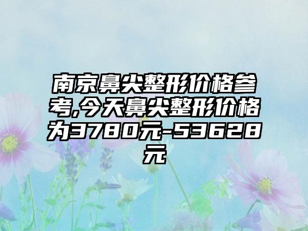 南京鼻尖整形价格参考,今天鼻尖整形价格为3780元-53628元