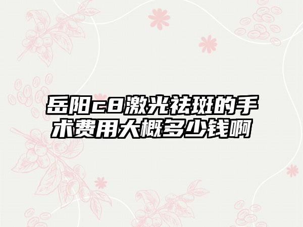 岳阳c8激光祛斑的手术费用大概多少钱啊