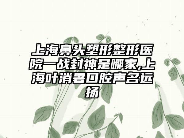 上海鼻头塑形整形医院一战封神是哪家,上海叶消暑口腔声名远扬