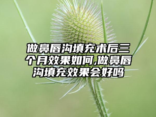 做鼻唇沟填充术后三个月成果如何,做鼻唇沟填充成果会好吗