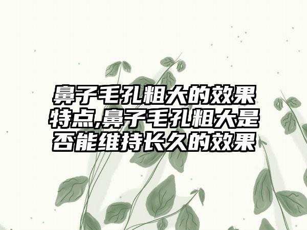 鼻子毛孔粗大的成果特点,鼻子毛孔粗大是否能维持长久的成果