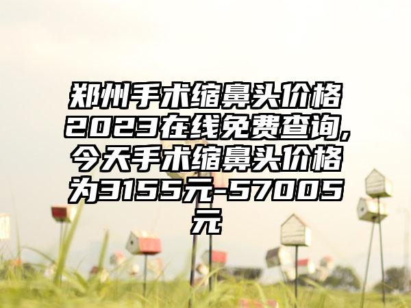 郑州手术缩鼻头价格2023在线免费查询,今天手术缩鼻头价格为3155元-57005元