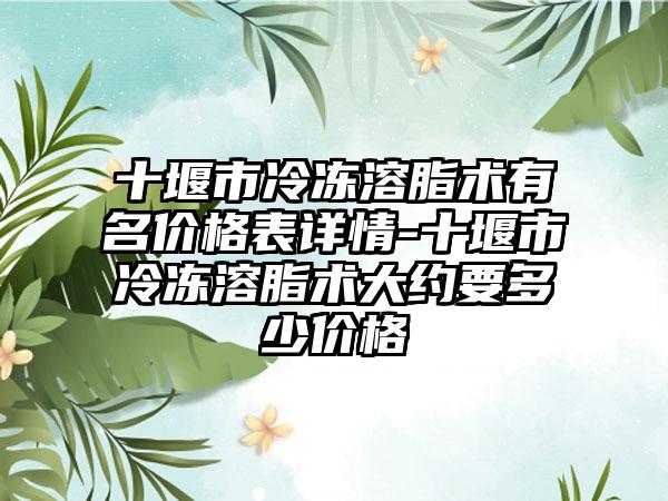 十堰市冷冻溶脂术有名价格表详情-十堰市冷冻溶脂术大约要多少价格