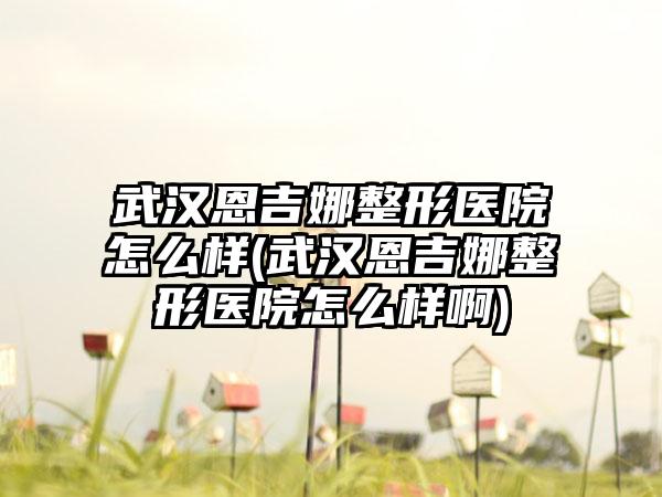 武汉恩吉娜整形医院怎么样(武汉恩吉娜整形医院怎么样啊)