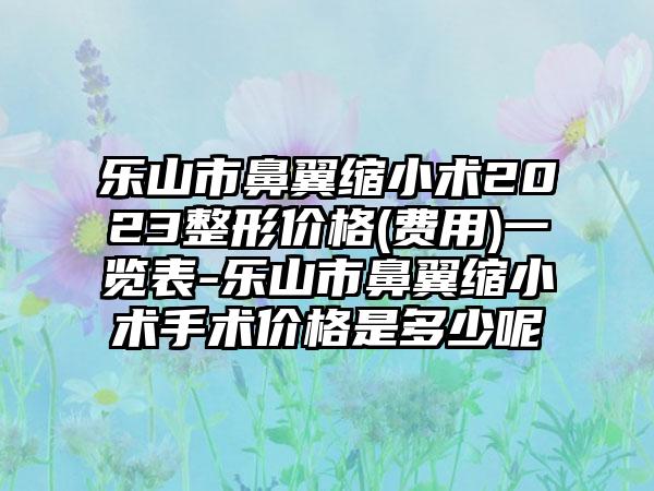 乐山市鼻翼缩小术2023整形价格(费用)一览表-乐山市鼻翼缩小术手术价格是多少呢