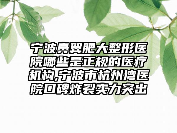 宁波鼻翼肥大整形医院哪些是正规的医疗机构,宁波市杭州湾医院口碑炸裂实力突出