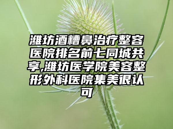 潍坊酒糟鼻治疗整容医院排名前七同城共享,潍坊医学院美容整形外科医院集美很认可