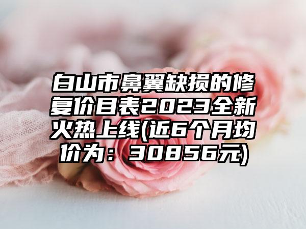 白山市鼻翼缺损的修复价目表2023全新火热上线(近6个月均价为：30856元)