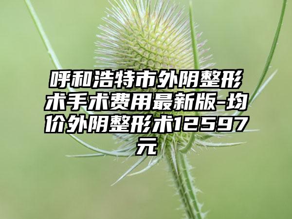 呼和浩特市外阴整形术手术费用非常新版-均价外阴整形术12597元