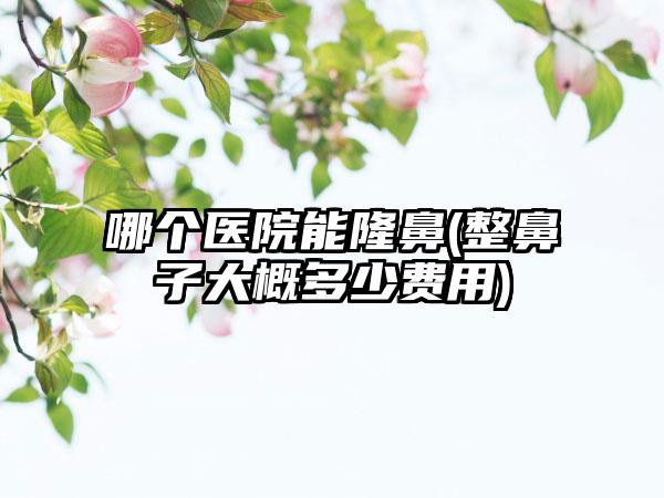 哪个医院能隆鼻(整鼻子大概多少费用)