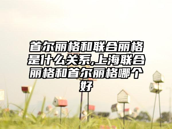 首尔丽格和联合丽格是什么关系,上海联合丽格和首尔丽格哪个好