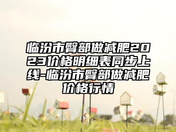 临汾市臀部做减肥2023价格明细表同步上线-临汾市臀部做减肥价格行情