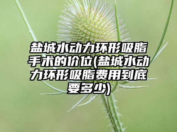 盐城水动力环形吸脂手术的价位(盐城水动力环形吸脂费用到底要多少)