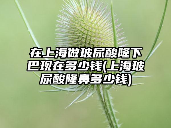 在上海做玻尿酸隆下巴现在多少钱(上海玻尿酸隆鼻多少钱)