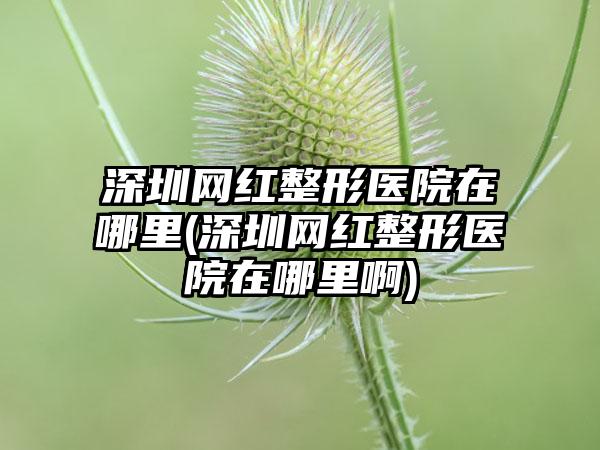 深圳网红整形医院在哪里(深圳网红整形医院在哪里啊)