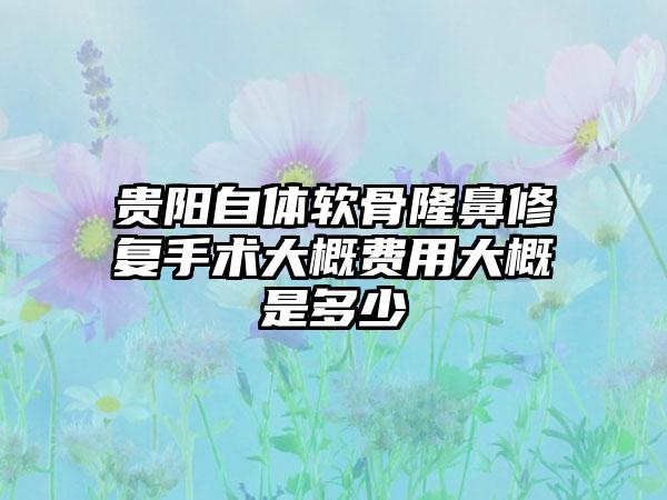 贵阳自体软骨隆鼻修复手术大概费用大概是多少