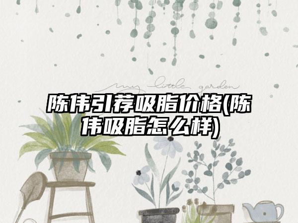 陈伟引荐吸脂价格(陈伟吸脂怎么样)