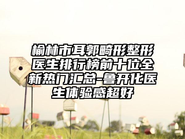 榆林市耳郭畸形整形医生排行榜前十位全新热门汇总-鲁开化医生体验感超好